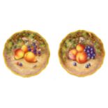 {} A Pair of Royal Worcester Porcelain Plates, by Harry Ayrton, 2nd half 20th century, painted