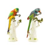 A Pair of Meissen Porcelain Figures of Parakeets, late 19th/early 20th century, naturalistically