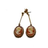 A pair of 9 carat gold cameo drop earrings, length 4.0cmGross weight 4.6 grams.