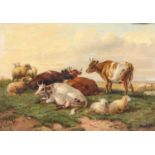Follower of Thomas Sidney Cooper RA (1803-1902)Study of cattle and sheep grazing in an extensive