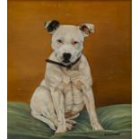 Doreen Medhurst (contemporary) Staffordshire Bull Terrier Signed, oil on board, 22cm by 19.5cm