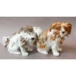 A pair of Samson models after Meissen, 19th century, formed as bolognese hounds, together with two