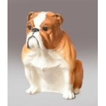 Royal Doulton Bulldog, model No. DA222, limited edition 708/1000, fawn gloss, with box and