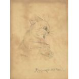 Louis Wain (1860-1939) Startled cat in profile Signed and inscribed, pencil, 24cm by 18cm