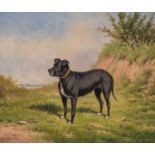William Eddowes Turner (1820-1885)Study of a terrier in a landscape Signed, oil on canvas, 24.5cm by