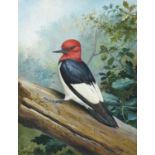 David Morrison Reid Henry (1919-1977)American Red Headed WoodpeckerSigned, gouache, together with