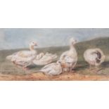William Andrews Nesfield (1793-1881)A gaggle of GeeseWatercolour, 6.5cm by 13cm Provenance: David
