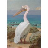 Henry Stacy Marks RA (1829-1898)"Pelican" Signed and dated 1884, with inscribed label verso and