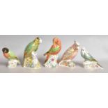 Five Royal Crown Derby bird paperweights, 'Black Faced Love Bird', designed by Sue Rowe, gold