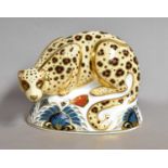 A Royal Crown Derby paperweight, 'Savannah Leopard', from the Endangered Species range for