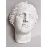 A plaster half bust of Venus, by D. Brucciani & Co, London