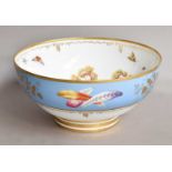 A 19th century Continental porcelain bowl decorated with fancy birds, with gilt and pale blue