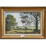 Neil Spilman (20th Century) ''Summer, Slingsby Carr'' Signed, oil on canvas, 25cm by 40cm