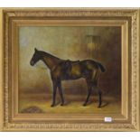 P* Fleming (Early 20th century) Bay hunter in a stable Signed oil on canvas, 49cm by 59cm