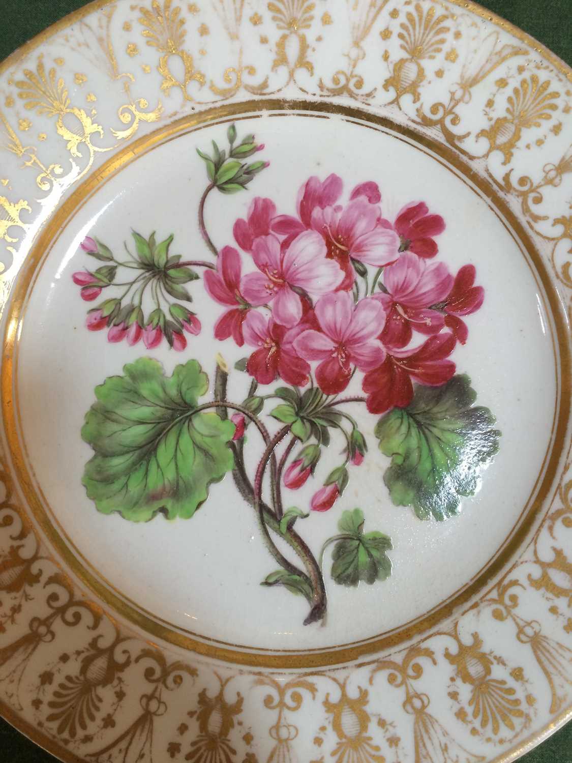 A Coalport Porcelain Plate, circa 1810, painted with a botanical specimen within a gilt anthemion - Image 3 of 8