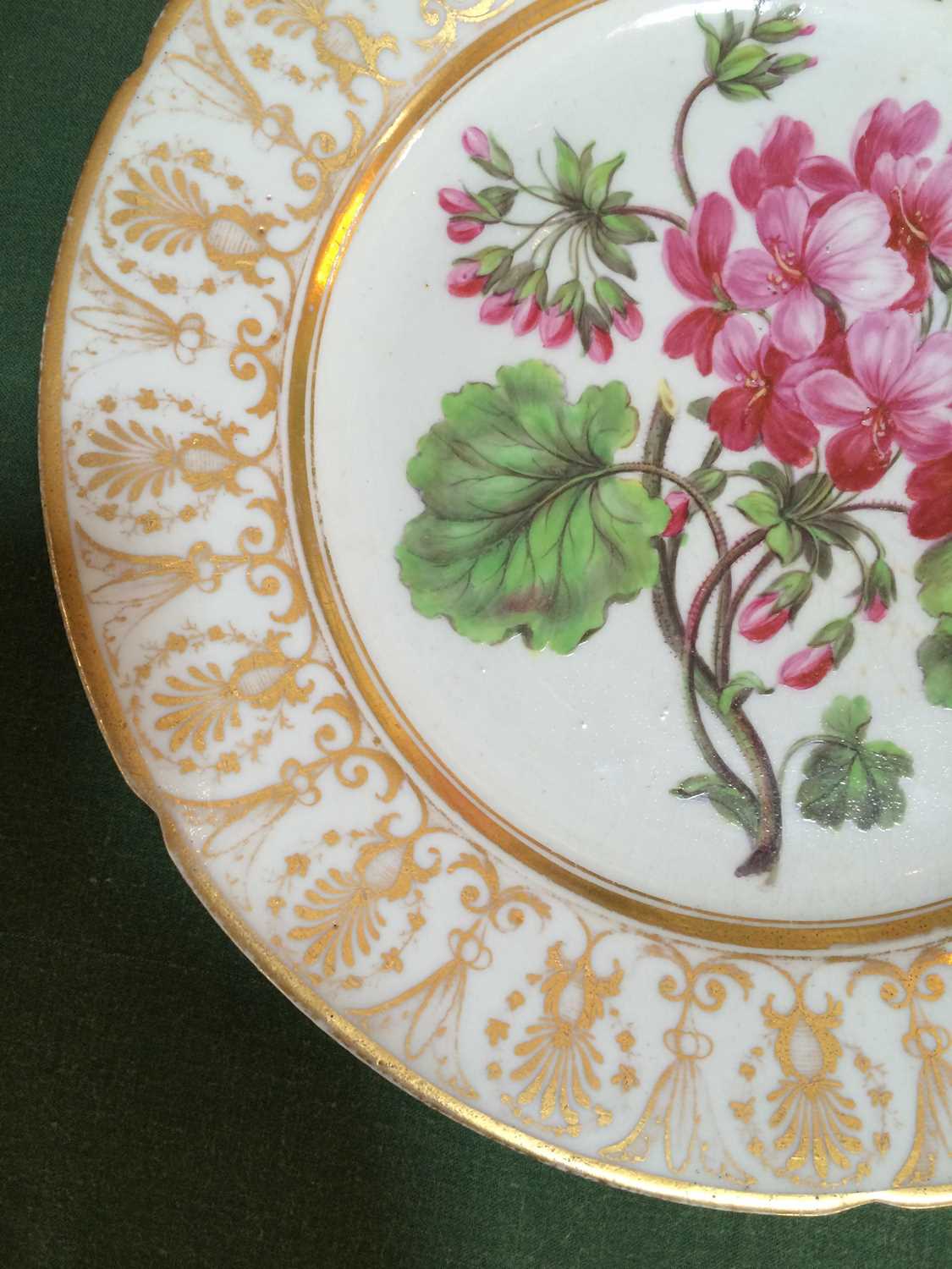 A Coalport Porcelain Plate, circa 1810, painted with a botanical specimen within a gilt anthemion - Image 8 of 8