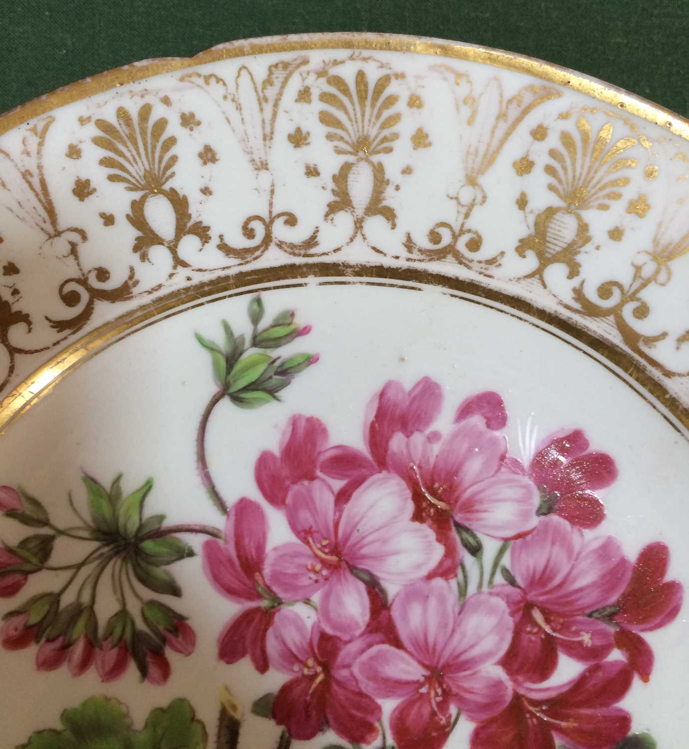 A Coalport Porcelain Plate, circa 1810, painted with a botanical specimen within a gilt anthemion - Image 4 of 8