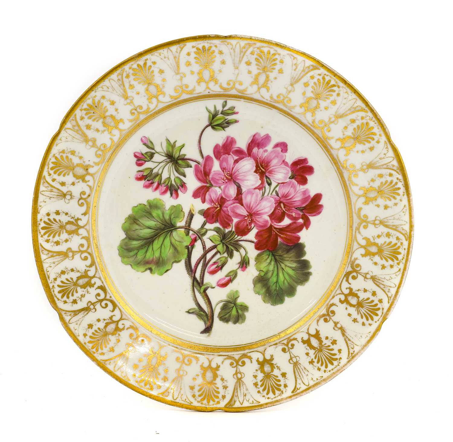 A Coalport Porcelain Plate, circa 1810, painted with a botanical specimen within a gilt anthemion
