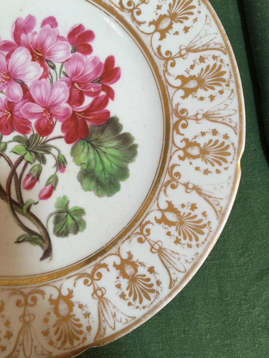 A Coalport Porcelain Plate, circa 1810, painted with a botanical specimen within a gilt anthemion - Image 7 of 8