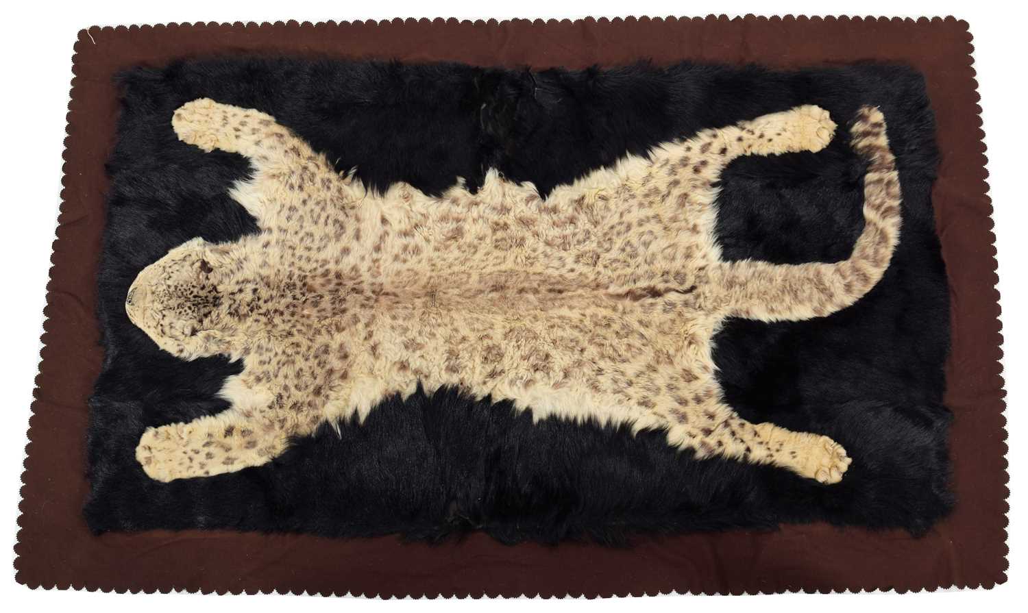 Taxidermy: A Rare Snow Leopard Skin Rug / Carriage Blanket (Panthera uncia), circa 1920-1930, by - Bild 3 aus 6