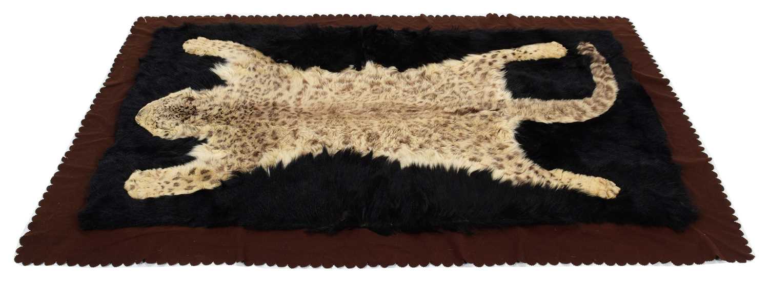 Taxidermy: A Rare Snow Leopard Skin Rug / Carriage Blanket (Panthera uncia), circa 1920-1930, by - Bild 4 aus 6