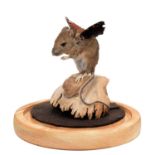 Taxidermy: The Flittermouse (Apodemus sylvaticus), modern, by Adrian Johnstone, Taxidermy, Gainford,