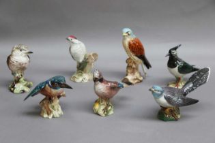 Beswick Birds, including Kestrel, model No. 2316, Lesser Spotted Woodpecker, model No. 2420, Jay,