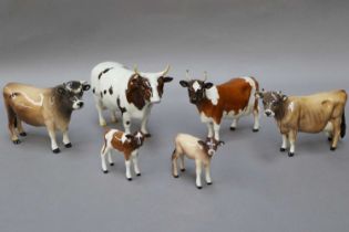 Beswick Cattle, comprising Jersey cattle bull, cow and calf; together with Ayrshire bull, cow and
