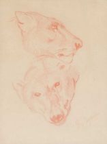 John Macallan Swan R.A. (1847-1910)Study of a bears head and a lionesses head Signed, sanguine, 19.