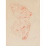 John Macallan Swan R.A. (1847-1910)Study of a bears head and a lionesses head Signed, sanguine, 19.