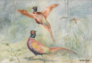 D.M & E.M Alderson (20th Century)Study of PheasantsSigned and dated 1973, watercolour, 20.5 by 29.