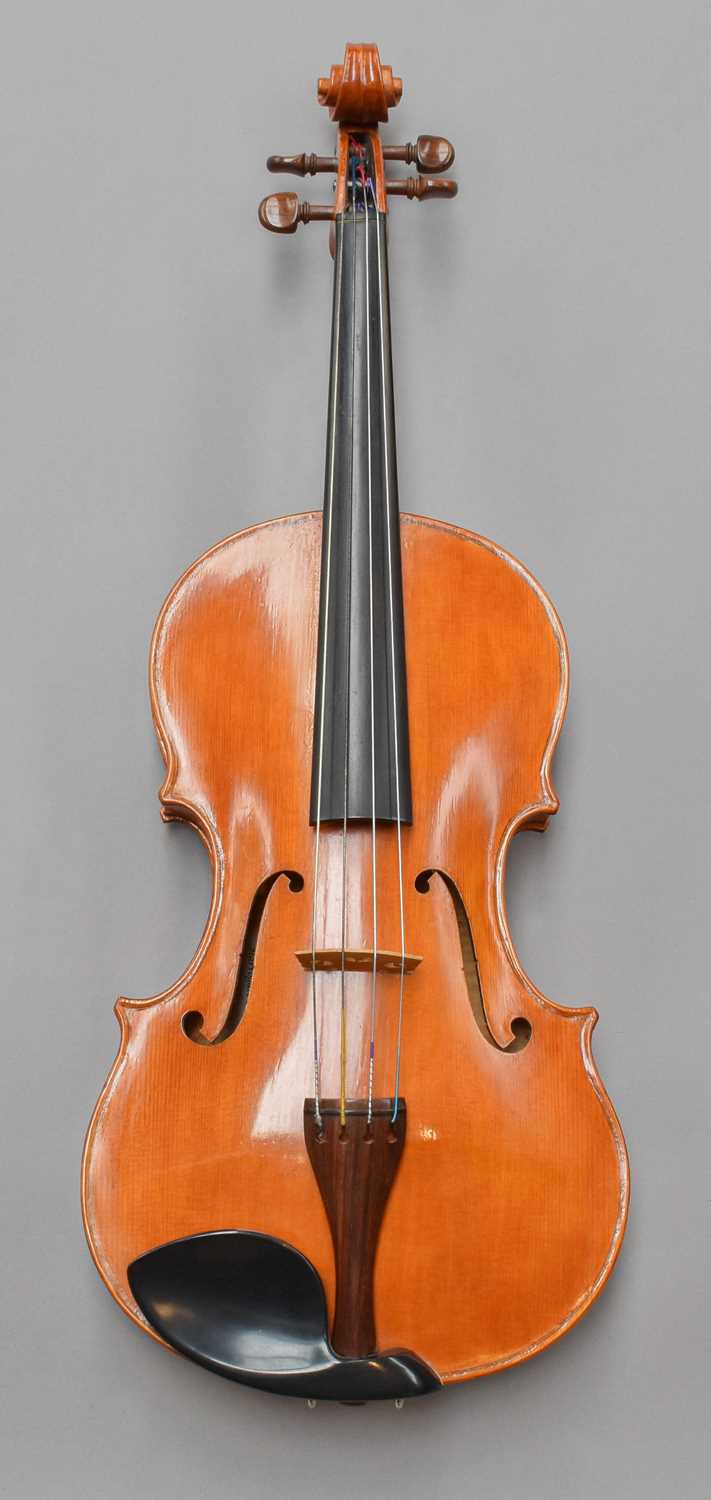 Viola