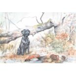 Gillian Harris (Contemporary)Black Labrador with game and cartridge bag Signed, watercolor, 37cm