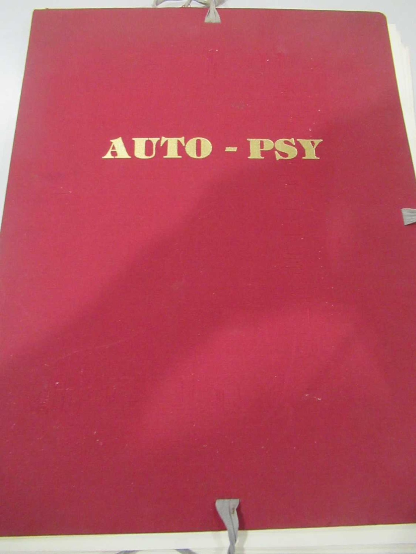 Auto-Psy: A limited edition of 2000 bound copies containing 23 loose pages, 18 of which are - Image 5 of 5