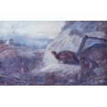 After Archibald Thorburn FZS (1860-1935)GrousePrint, together with another of Pheasants, bearing