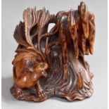 A Chinese Rootwood Carving, circa 1900, depicting a tiger emerging from under a tree, 15.5cm