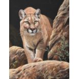 Steve Burgess (b.1960)American Cougar on a rockSigned, oil on board, 25cm by 19cm