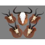 Antlers/Horns: A Group of African Game Trophy Skulls, circa early 21st century, South Africa, a