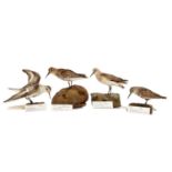 Taxidermy: A Group of Estuary Birds, dated 1909 - 1915, a full mount adult male Dunlin, with head