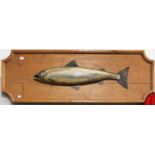 A Painted Wooden Model of a Salmon, mounted on a wooden board, 138cm by 45cm
