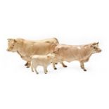 Beswick Charolais Cattle