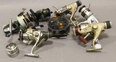 A Collection of Spinning Reels