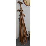 A Group of Hickory Shafter Iron-Topped Shepherds Dipping Sticks and Two Wooden Examples, for
