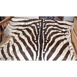 Old Zebra skin