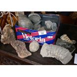 Quantity of assorted fossils