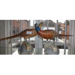 A brace of Spode pheasants