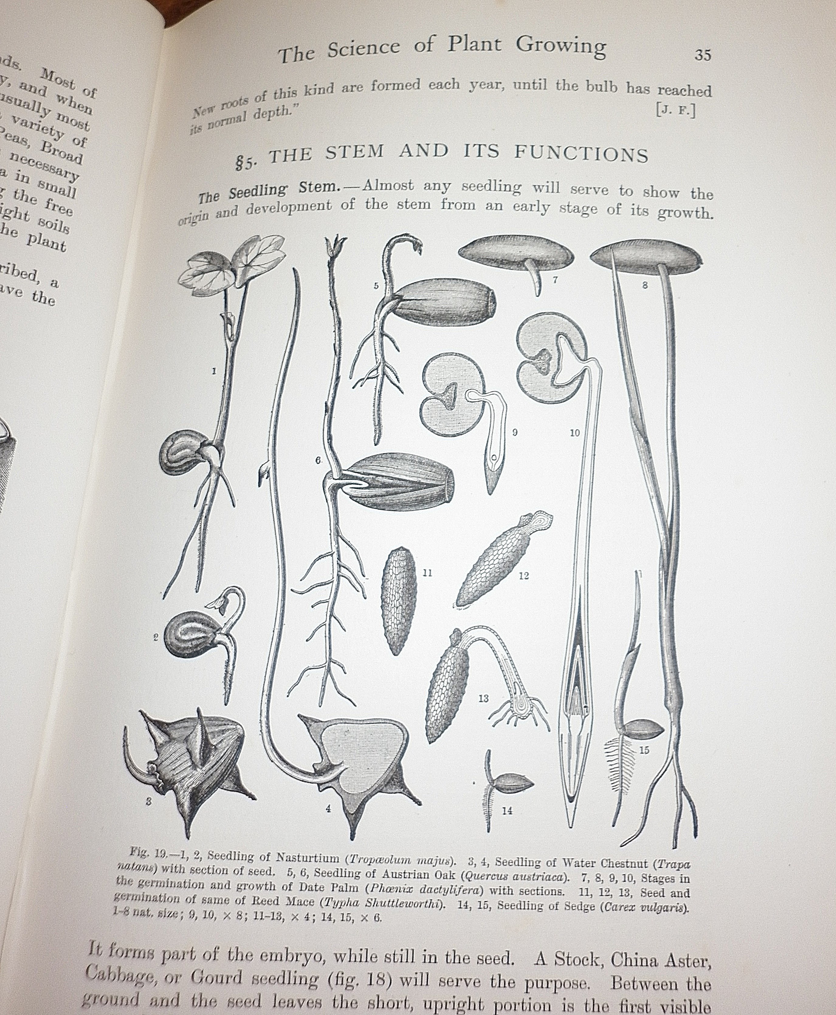 Commercial Gardening edited by John Weathers, 1913, four volumes, pub. The Gresham Publishing - Image 4 of 4