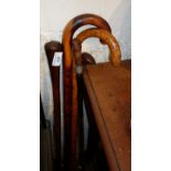 Five old walking sticks or canes