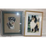 Pastel portrait of a bearded terrier by Margaret Anderson and a colour print of a collie