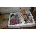 Collection of tropical shells and coral